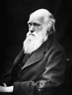 Charles Robert Darwin