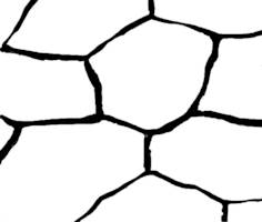 Polygonale Felderung
